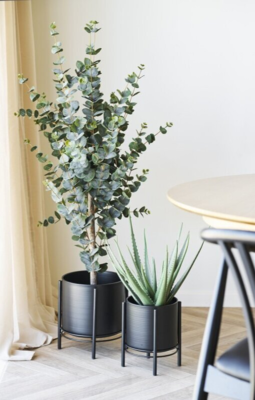 Urtepotte i sort stål