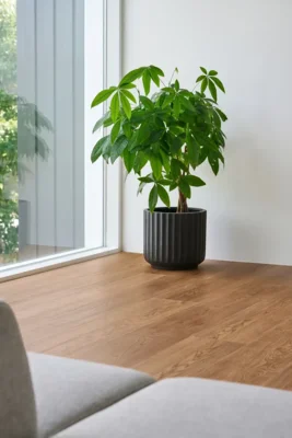 Nordheim Plank, 9586 Røget eg