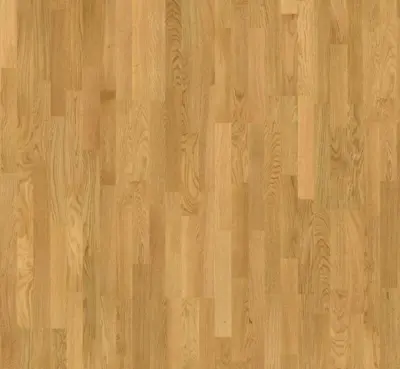 Parador Wooden floor Basic 11-5 - Oak, 3-strip SB Natural matt lacquer