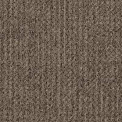2923