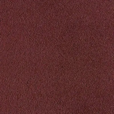 Oak Texture 2000 WT Vin