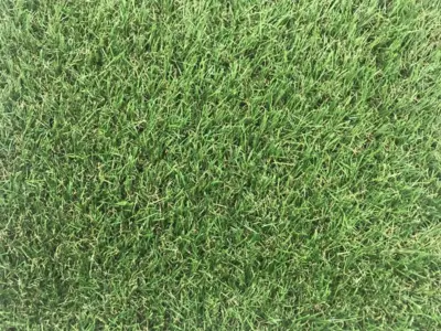Viva budget Grass carpet - REST 450X400 CM
