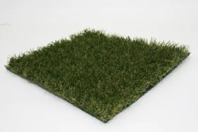 Tendency Grass carpet
