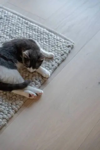 Bjelin hærdet eg, DALBY 3.0 XXL 