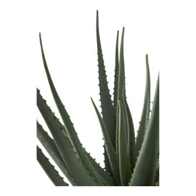 Kunstigt Aloe Vera, 51 cm. høj