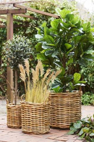 Burton Kurve, Kubu rattan sæt á 3 stk.