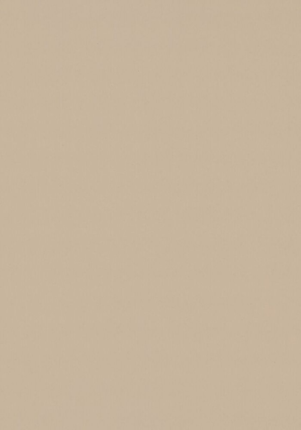 Bordlinoleum - Forbo Furniture Desktop Macadamia 