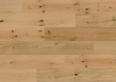 Hywood Classic, Oak Caledonian Forest