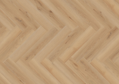 Sildeben Edition Perform, Rotterdam