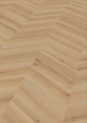 Chevron Edition Perform, Oak Rotterdam