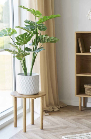 Jena, Sidebord i egetræ