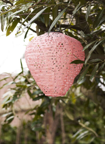 Greatham LED Lanterne - Rose