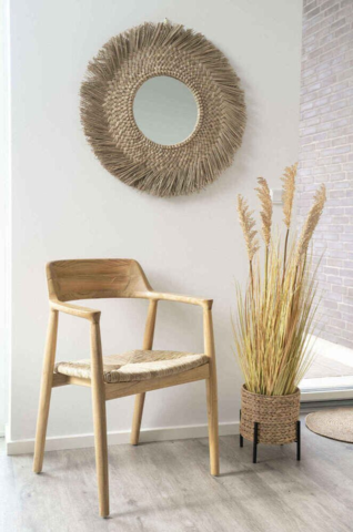 Antas, Planteskjuler lavet i vandhyacint