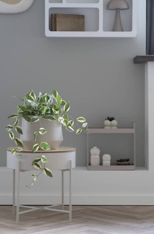 Voksblomst, kunstig grøn plante