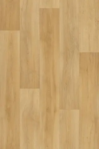 Lime Oak 336M