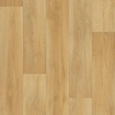 Lime Oak 336M