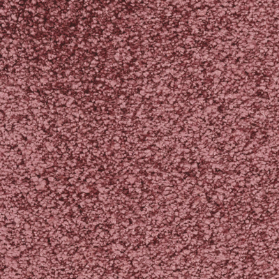 Fletco Bichon 325640