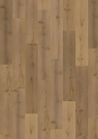 Kährs Nordisk Classisc, Akkelis klik