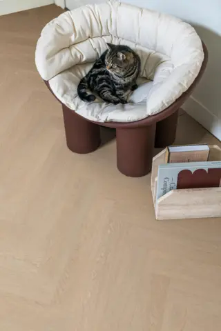 Vinylgulv Sildeben, Spirit Soul Click Comfort 55 - Luna