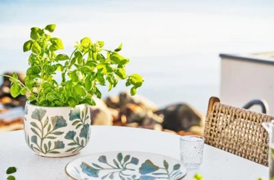 Urtepotte i keramik i farven hvid-mix