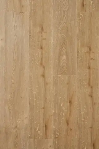 Nordheim Plank, 9576 Gylden eg