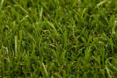 Turfgrass Yara Olive Græstæppe - REST 300X400 CM.