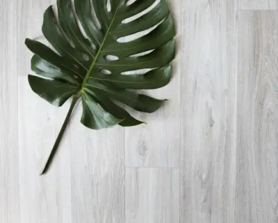 Vinylgulv, Xtreme, Havannah Oak - REST 590x400 cm.
