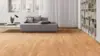 Haro parquet floor - Beech Steamed Trend pD