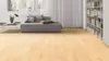 Haro parquet floor - Ash Trend pD