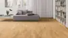 Haro parquet floor - Oak Trend brushed nD