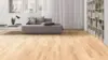 Haro parquet floor - Canadian Maple Favorite pD
