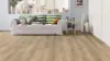 Haro laminate floor - Campus Oak Emilia puro