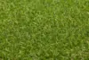 Mona Jungle artificial grass
