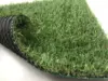 Grass Carpet Kato