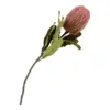 King Protea, rosa buket mix 