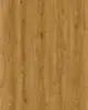 XpertPro SPC plank, Natural Oak.