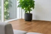 Nordheim Plank, 9586 Røget eg