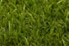 Turfgrass Yara Olive Græstæppe - REST 300X400 CM.