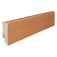 Fodpanel til trægulv, 16 x 58 mm. mat lak