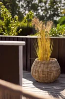 Melaka Kurve, naturfarvet rattan - 2 sæt