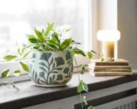 Urtepotte i keramik i farven hvid-mix