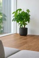 Nordheim Plank, 9586 Røget eg